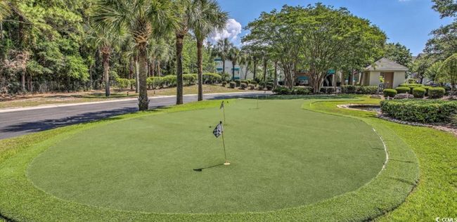 Surrounding community with a putting area | Image 25