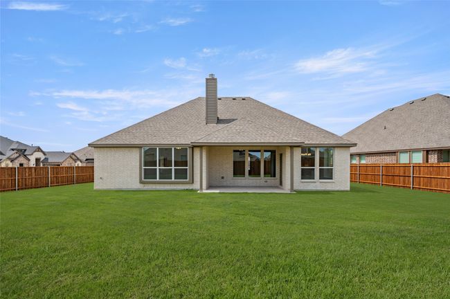 104 Calf- Back-1 | Image 26