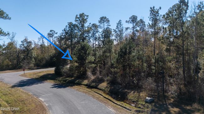 Lot 18 Seven Springs Drive, Home with 0 bedrooms, 0 bathrooms and null parking in Wewahitchka FL | Image 7