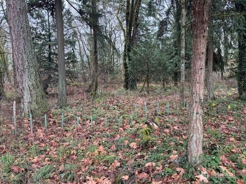 h-36812 52nd Ave S, Auburn, WA, 98001-8809 | Card Image