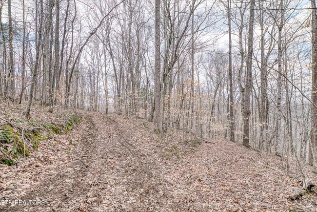 649 Garrett Town Ln, Home with 0 bedrooms, 0 bathrooms and null parking in Monroe TN | Image 10