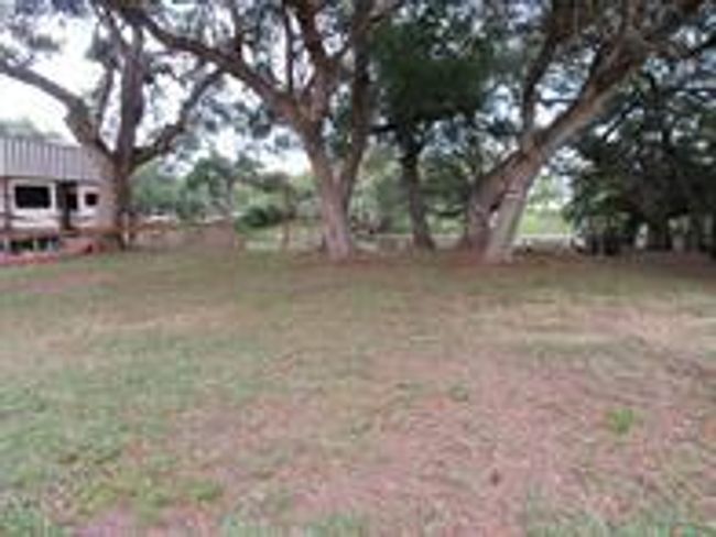 Image | Image 6
