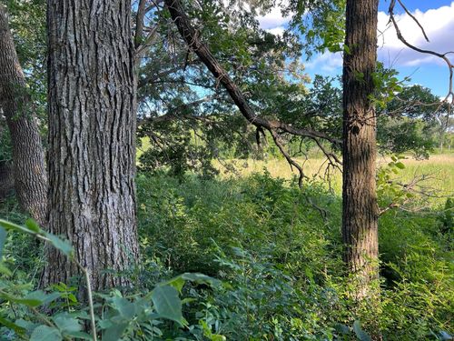 1 County Highway 17, Vergas, MN, 56587 | Card Image