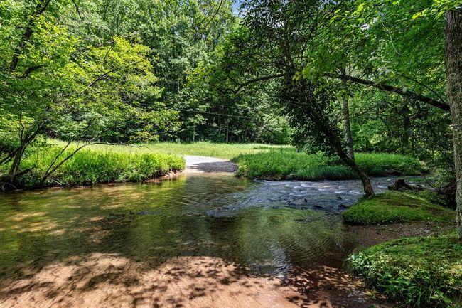 77 Old Covered Bridge Rd, Home with 4 bedrooms, 3 bathrooms and null parking in Cherry Log GA | Image 76