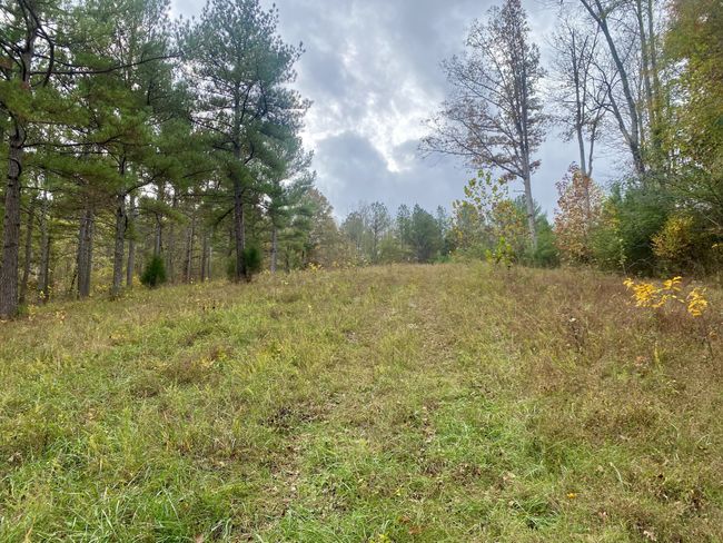 427 Blooming Grove Rd, House other with 2 bedrooms, 2 bathrooms and null parking in Five Points TN | Image 37