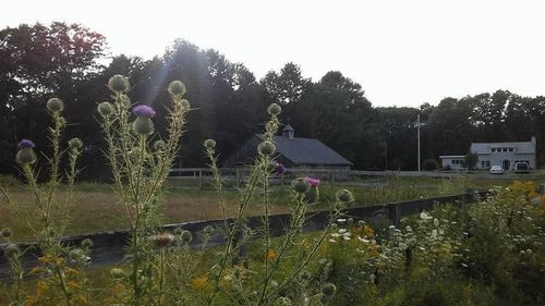 71 Secord Rd, Gilmanton Iw, NH, 03837-4649 | Card Image