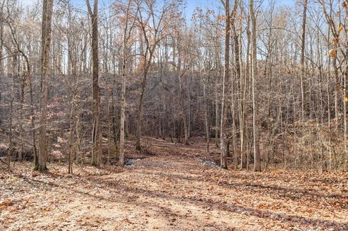 0 Rustling Oaks Dr, Waverly, TN, 37185 | Card Image