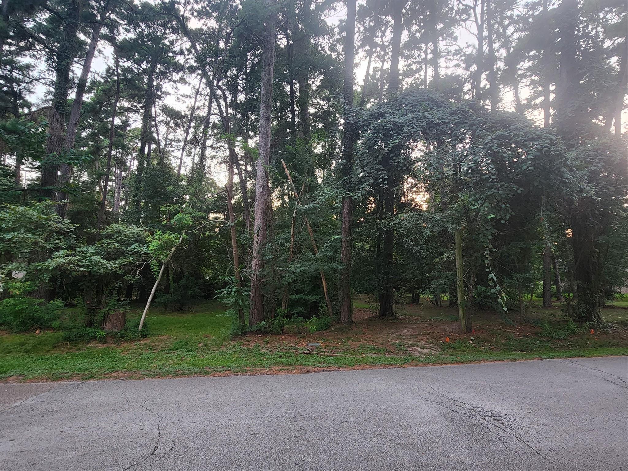 Land in Willis 2