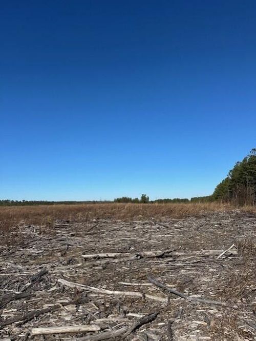 2 N 50th Ave, Gruetli Laager, TN, 37339-4311 | Card Image