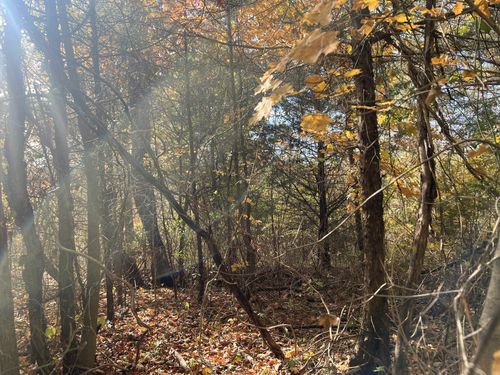 5 Clyde Webb Dr, Tennessee Ridge, TN, 37178 | Card Image