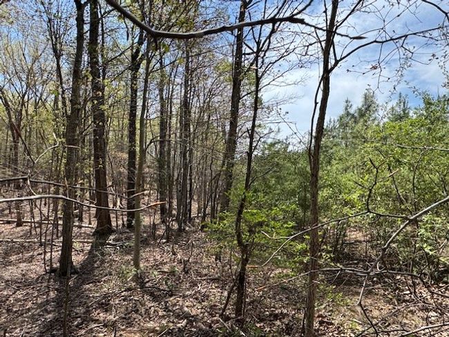 7 - 7 Spencer Rd, Home with 0 bedrooms, 0 bathrooms and null parking in Concord VA | Image 4