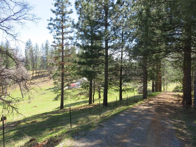 4196 Bald Mountain Rd, Home with 0 bedrooms, 0 bathrooms and null parking in West Point CA | Image 4