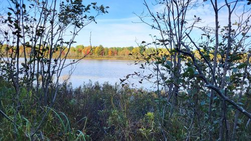 LOT 121 W Birch Shores Dr, Trout Lake, MI, 49793 | Card Image