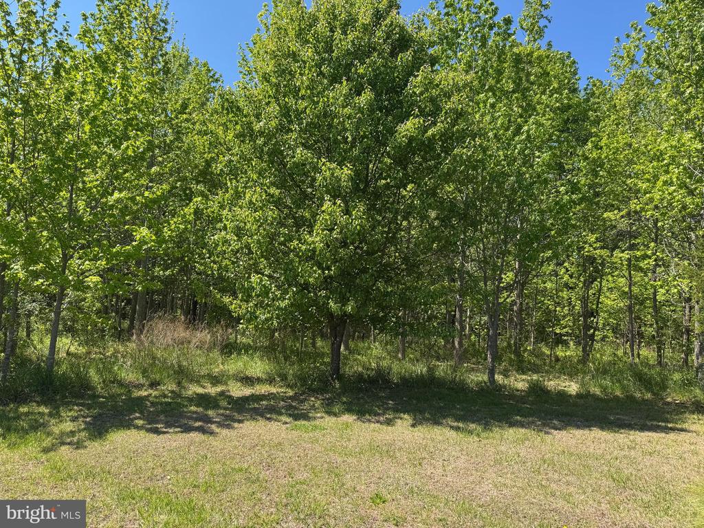 Land in KING GEORGE 3