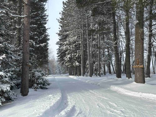 821 Paquette Rd, Craftsbury, VT, 05826-9653 | Card Image