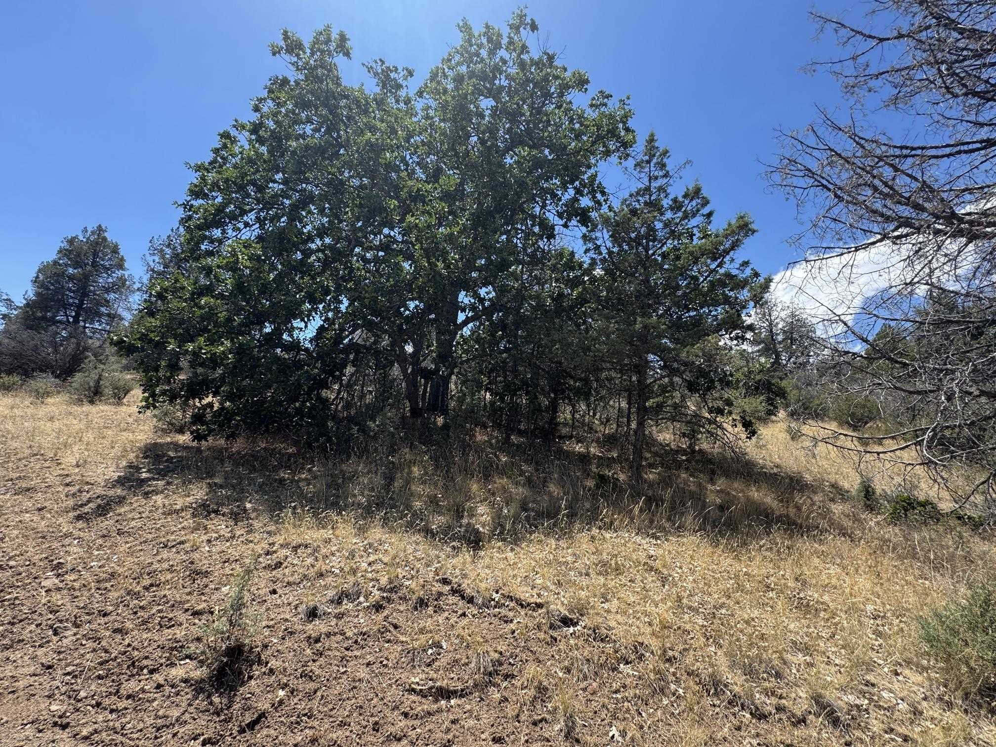 Land in Hornbrook 3