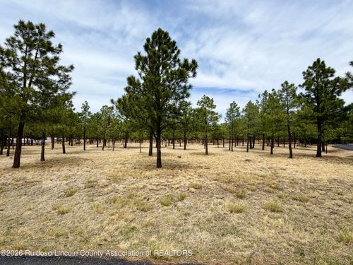105 Goldenrod Lane, Alto, NM, 88312 | Card Image