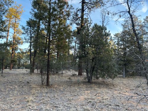 TBD- R Hilltop, Lakeside, AZ, 85929 | Card Image