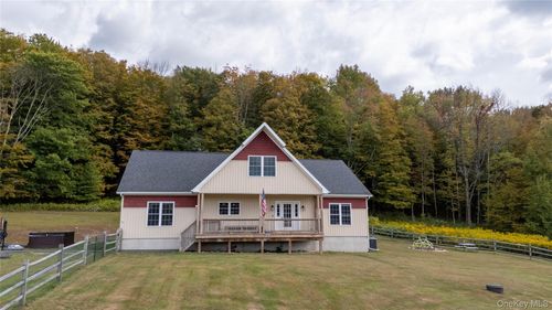 366 County Road, Fremont, NY, 12776 | Card Image