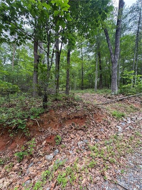 0 Nimblewill Creek Rd, Dahlonega, GA, 30533 | Card Image