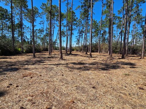 Lot 15 Trey'S Ln, Wewahitchka, FL, 32465 | Card Image