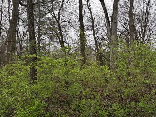 9 Wood Duck Dr, Ramsey, IL, 62080-2100 | Card Image