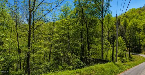 1811 Beach Front Dr, Sevierville, TN, 37876-8960 | Card Image
