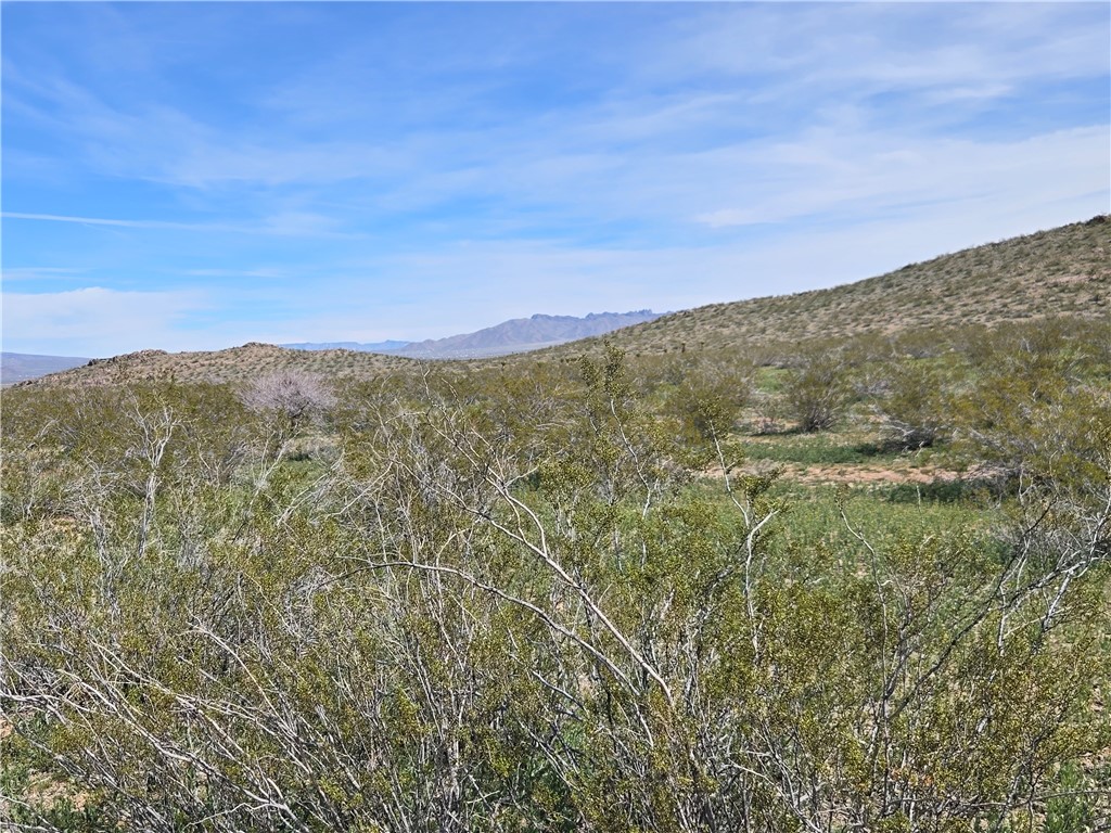 Land in Dolan Springs 5