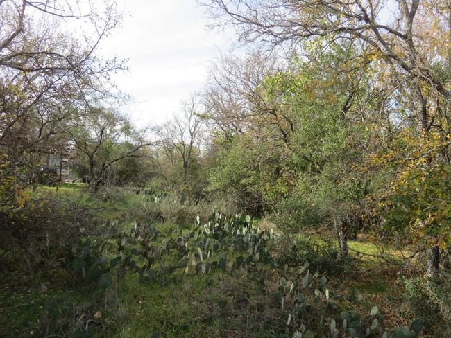 View of nature | Image 5