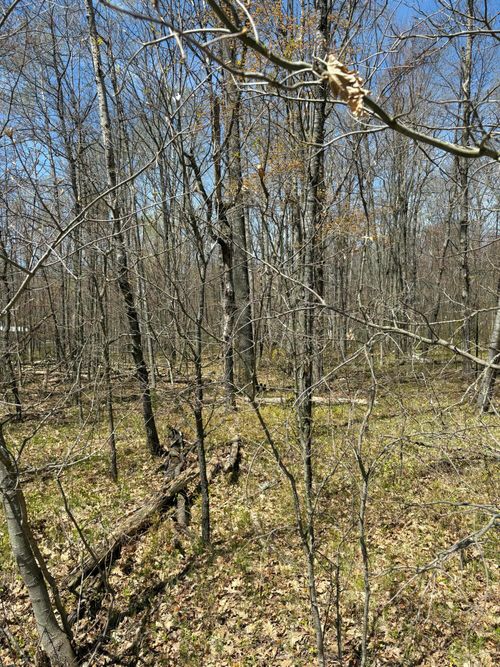 V/L Shadowbrook Drive, Lake, MI, 48632 | Card Image