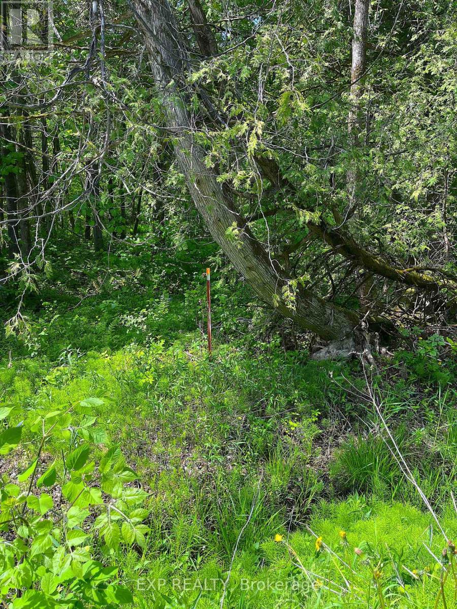 Land in Horton 5