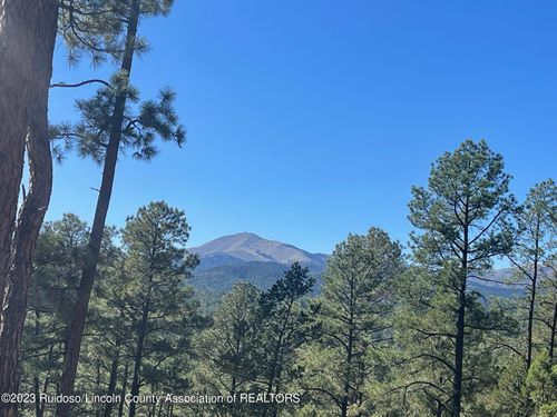 111 Poco Loco Dr, Ruidoso, NM, 88345-9161 | Card Image