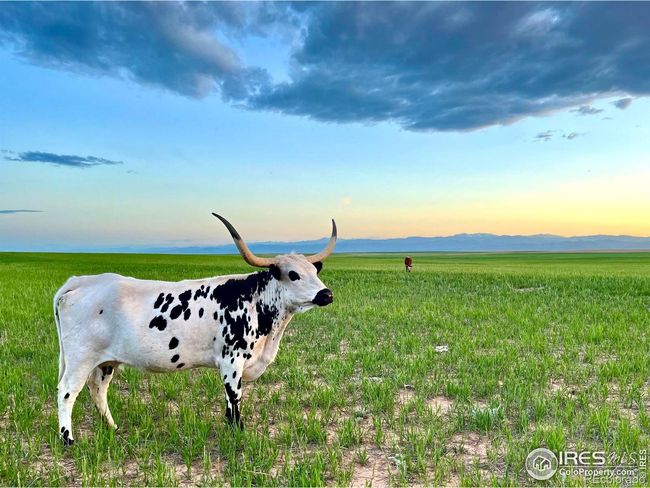 58114 County Road 15, House other with 2 bedrooms, 2 bathrooms and 2 parking in Carr CO | Image 22