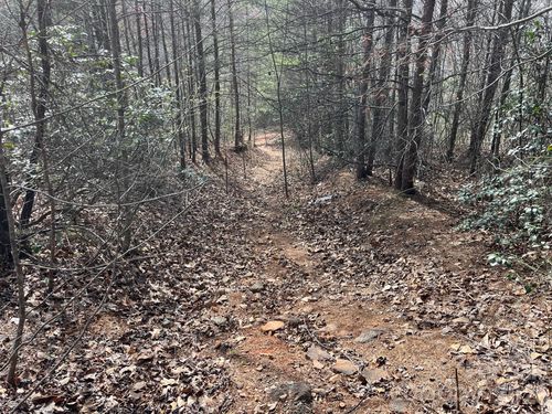 24 Katies Way, Nebo, NC, 28761 | Card Image