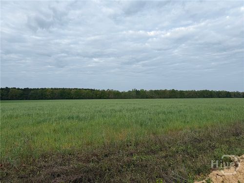 03 Springfield Egypt Road, Springfield, GA, 31329 | Card Image