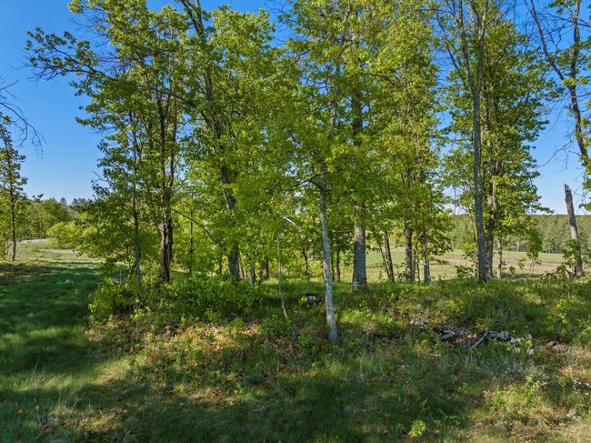 15 Tom Lehman Drive, Home with 0 bedrooms, 0 bathrooms and null parking in Brainerd MN | Image 5