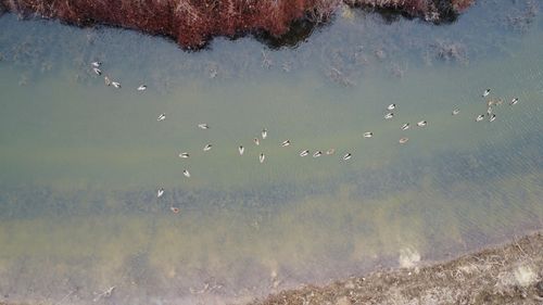 00 County Road 242, Wynne, AR, 72396 | Card Image