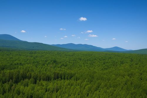 0 Mud Pond Rd, Milan, NH, 03588 | Card Image