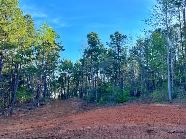 99 Cr 2107, Home with 0 bedrooms, 0 bathrooms and null parking in Rusk TX | Image 9