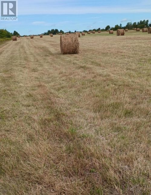 Acreage Cape Bear Road, White Sands, PE, C0A1W0 | Card Image