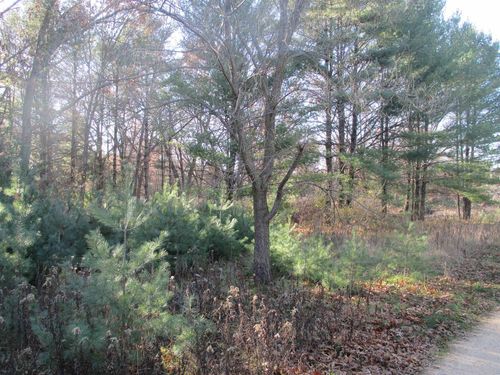 Lot 2 Eagle Rest Ct, MONTELLO, WI, 53949 | Card Image