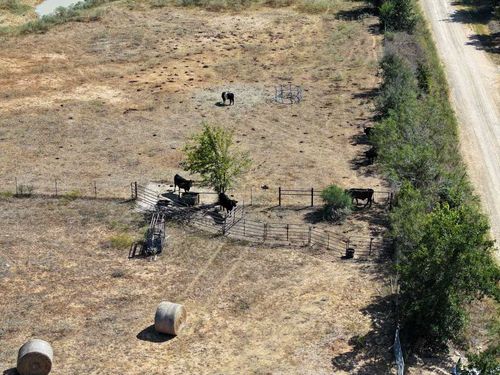 475 County Road 320, Rockdale, TX, 76567 | Card Image