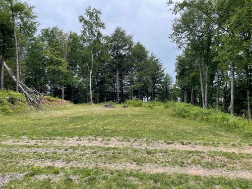 Lot 4 Cisco Lake Rd, Watersmeet, MI, 49969 | Card Image