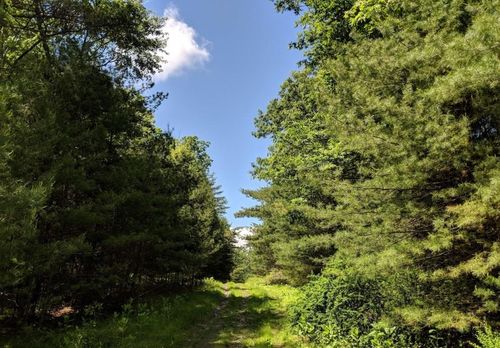 9 Elle Dr, Glen Spey, NY, 12737 | Card Image