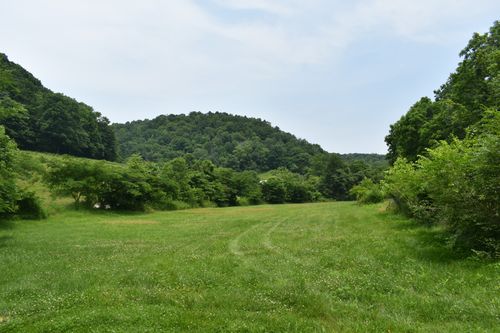 0 Nascar Ln, Pleasant Shade, TN, 37145 | Card Image