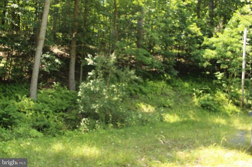 0 Nethers Rd, SPERRYVILLE, VA, 22740 | Card Image