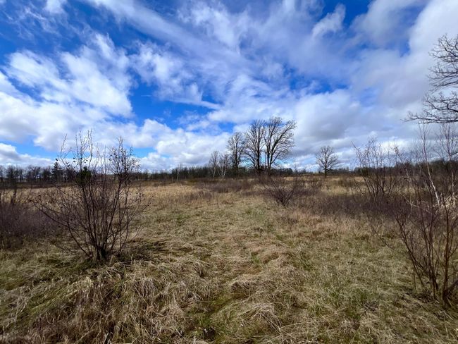 62126 Tamarack River Rd, Home with 0 bedrooms, 0 bathrooms and null parking in SANDSTONE MN | Image 30