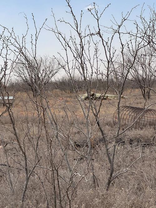 0000 1st St, Big Spring, TX, 79720 | Card Image