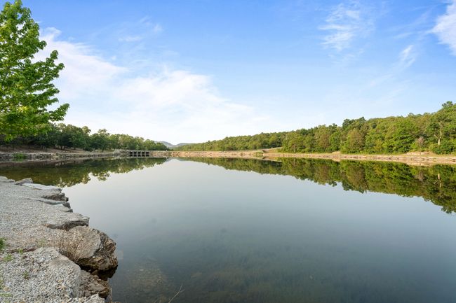 Forest Lake Walking Fishing | Image 69