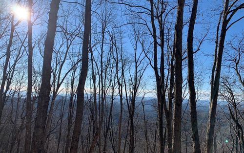 Lot 8 Wolf Mountain Rd, Murphy, NC, 28906 | Card Image